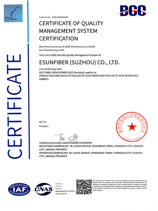 ISO 9001