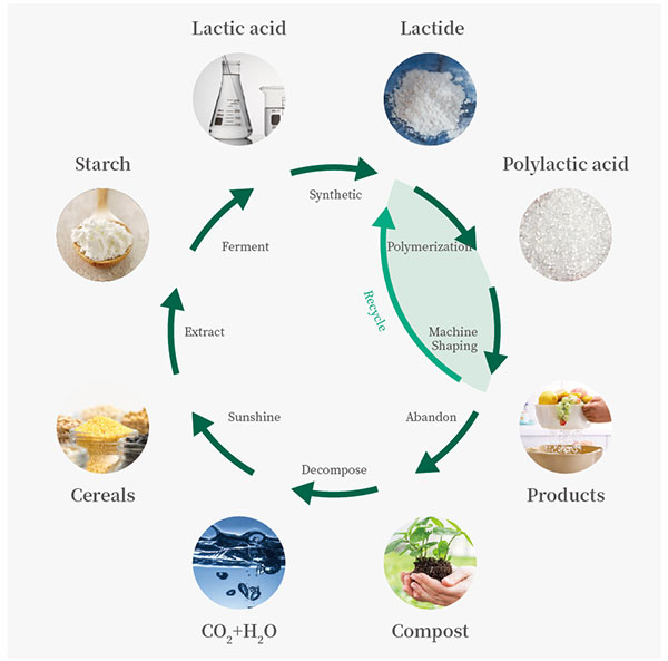 Biodegradation-cycle-diagram.jpg