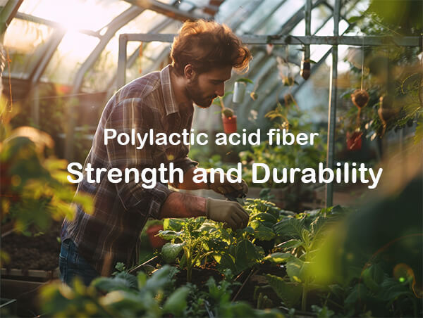 Strength-and-durability-of-pla-fiber