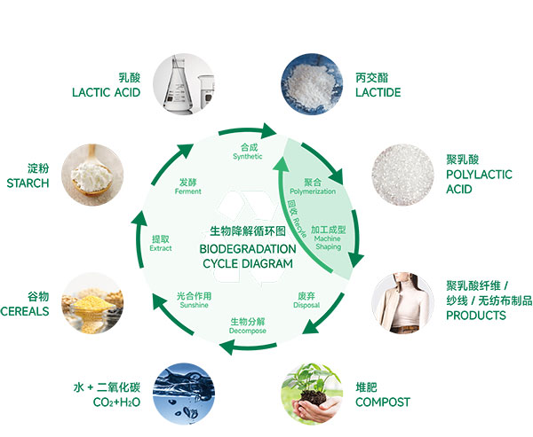 Biodegradation-cycle-diagram