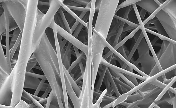 Polylactic-acid-fiber-structure